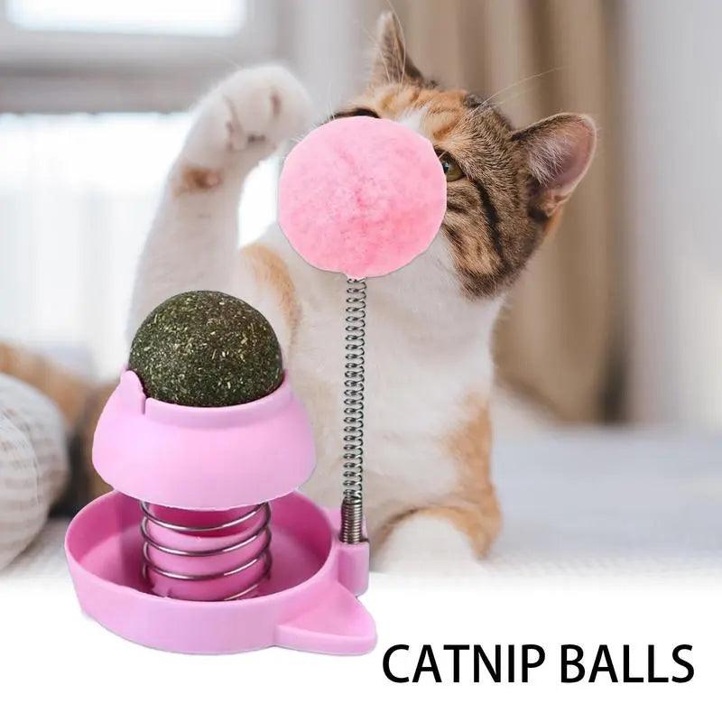 Jouet et boule d'herbe à chat - Animalerie en ligne Kat-Shop