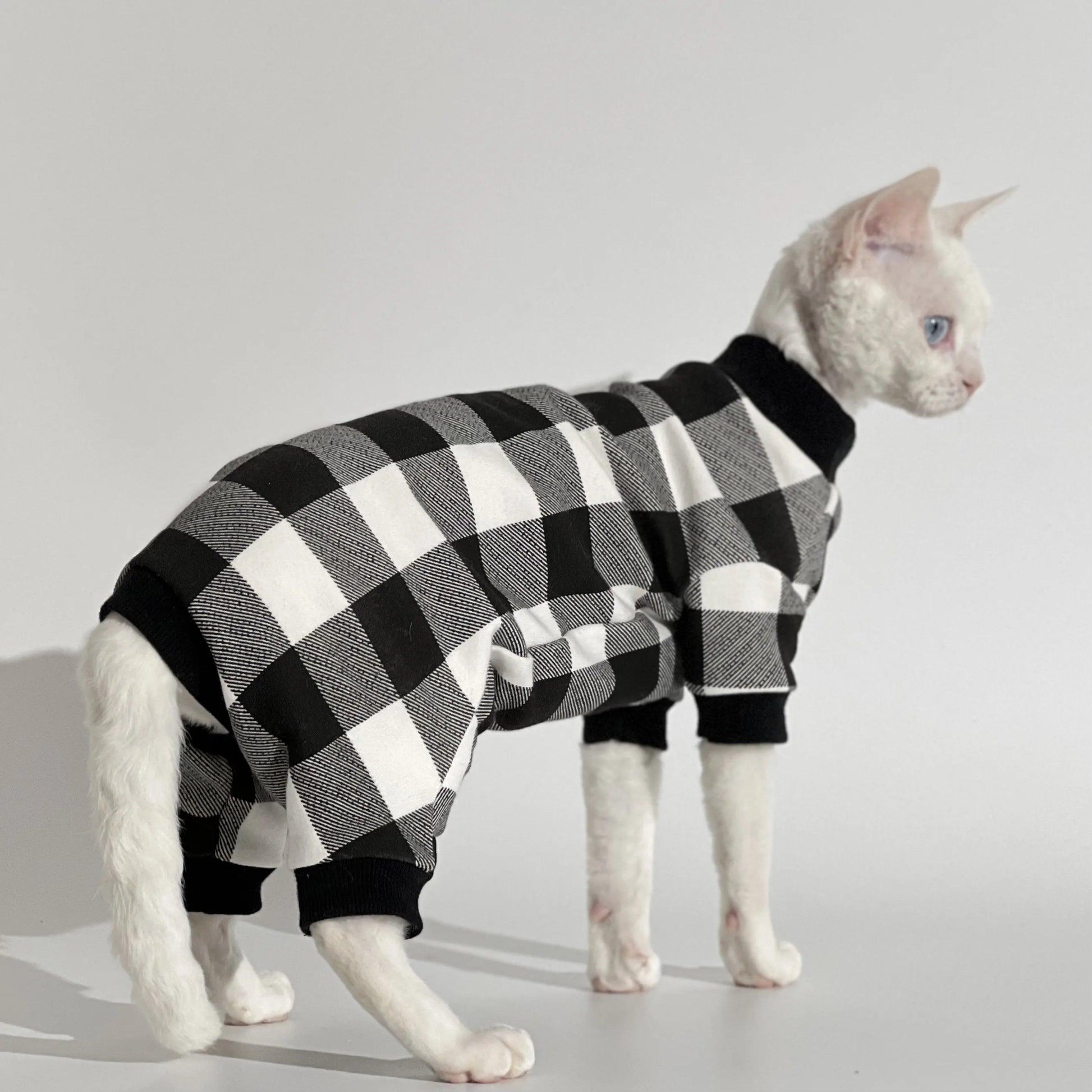 Manteau à damier pour votre chat - Animalerie en ligne Kat-Shop