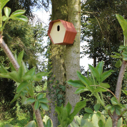 Capi Maison à oiseaux Hive 2 19x23x20 cm Marron