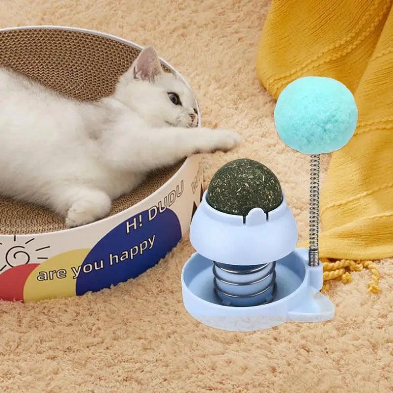 Catnip Wall Toys Rotatable Cat Licking Balls Edible And Healthy With Spring Ball Catnip Bubbles Lickables For Cats Catnip Ball - Animalerie en ligne Kat-Shop