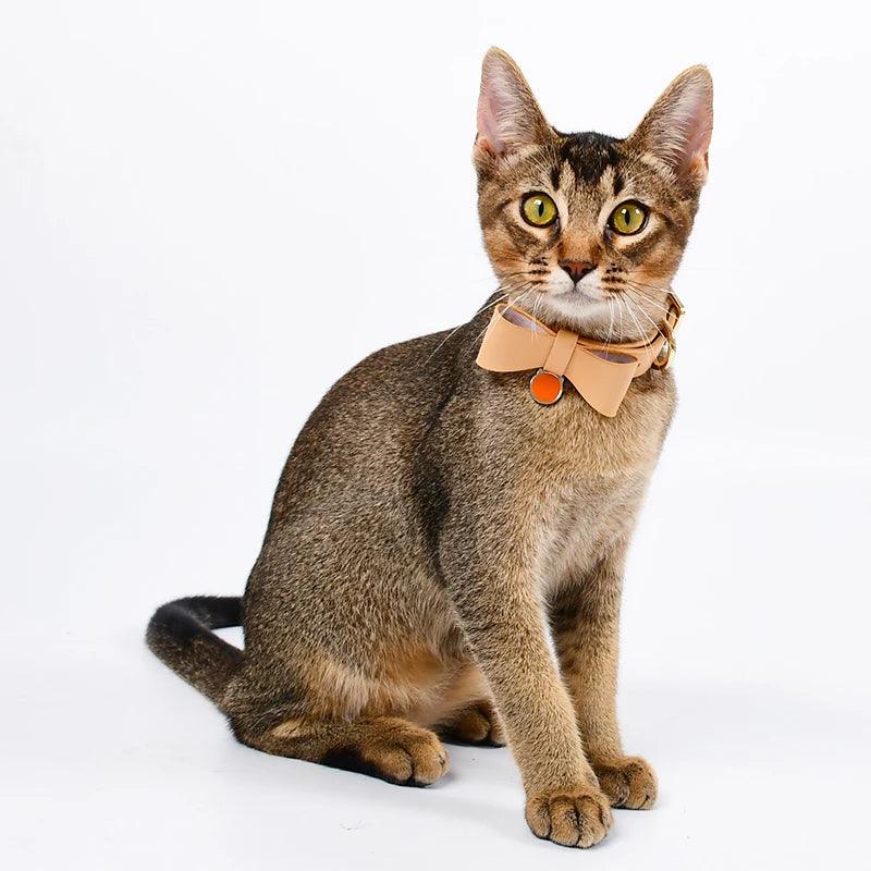 Collier et harnais pour chat, en cuir - Animalerie en ligne Kat-Shop