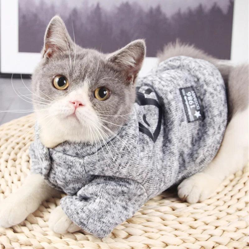 Pull en Fleece, motif poisson, pour chat - Animalerie en ligne Kat-Shop