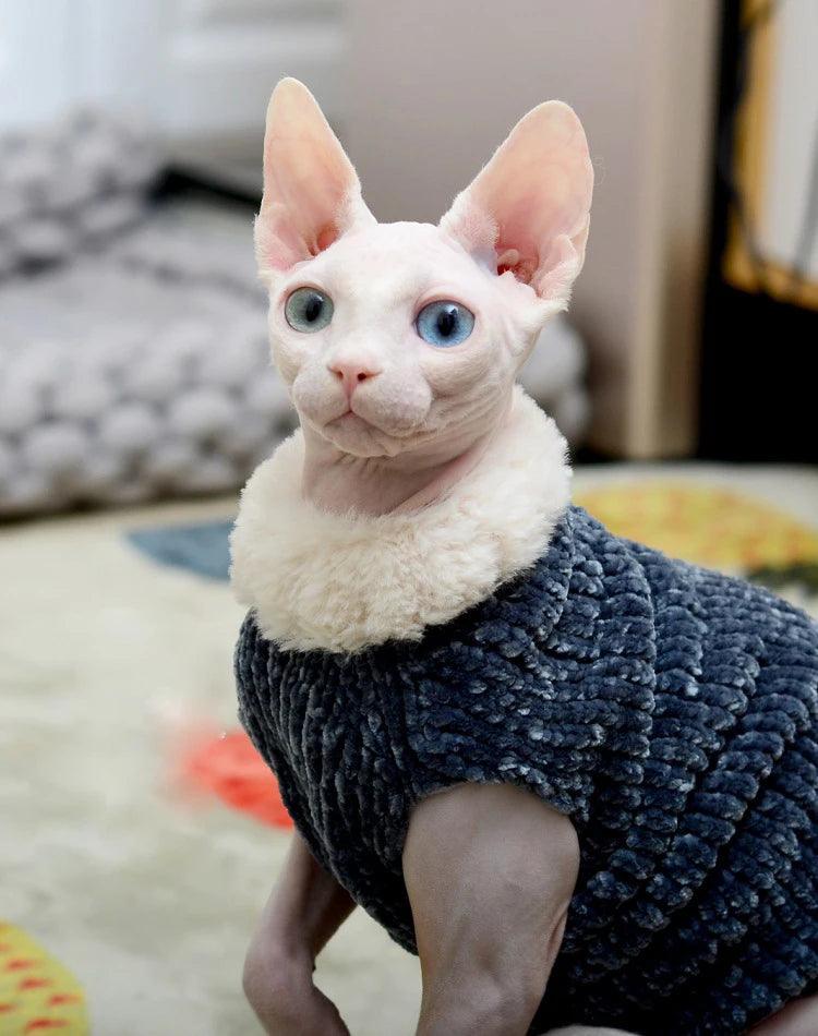 Pull en fleece, motif velour, pour chat - Animalerie en ligne Kat-Shop