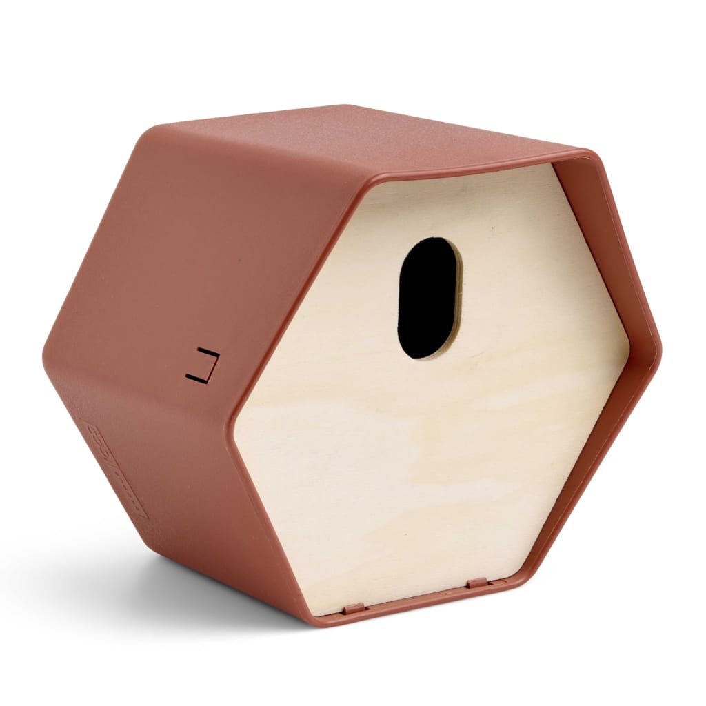 Capi Maison à oiseaux Hive 2 19x23x20 cm trou ovale marron