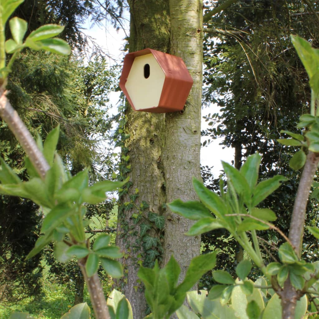 Capi Maison à oiseaux Hive 2 19x23x20 cm trou ovale marron