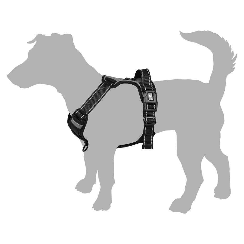 FLAMINGO Harnais pour chiens Balou Noir S 40-55 cm 20mm - Animalerie en ligne Kat-Shop
