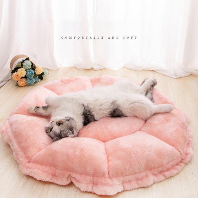 Cat cushion litter mat pink niche pour chat beds for small dogs comfy calming pet bed plush manta perro blanket for dog poodle - www.kat-shop.be